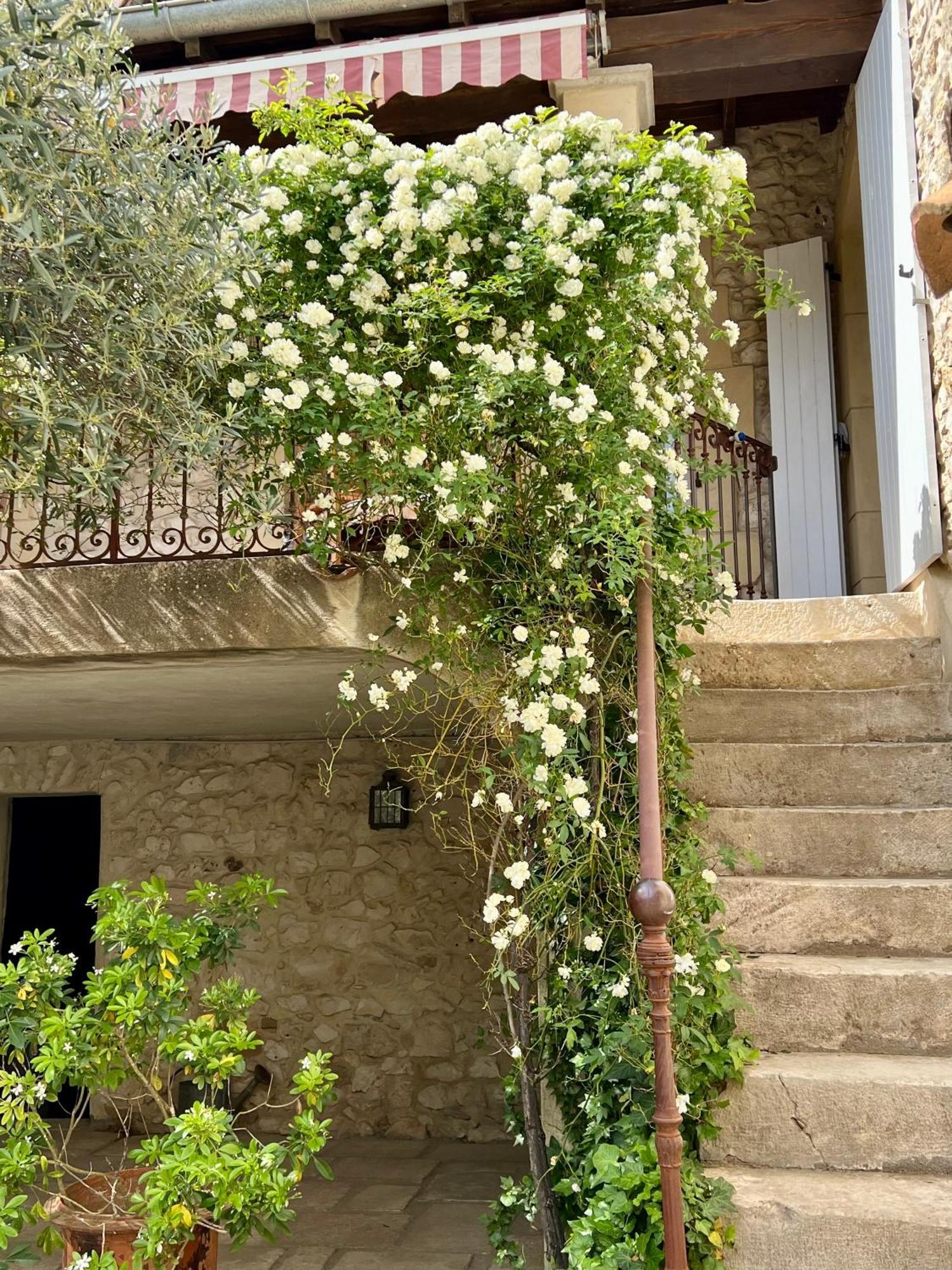 La Maison Des Autres, piscine chauffée, chambres d'hôtes proches Uzès, Nîmes, Pont du Gard Saint-Genies-de-Malgoires Exterior foto